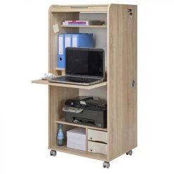 Simmob Armoire Informatique Mobile Chêne - Coloris: Drapeau Suisse 650